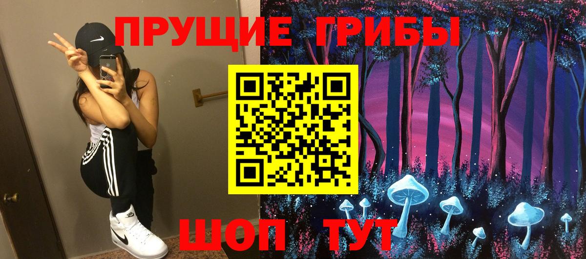 Псилоцибиновые грибы GOLDEN TEACHER  Вход с VPN  наркота  Владикавказ 